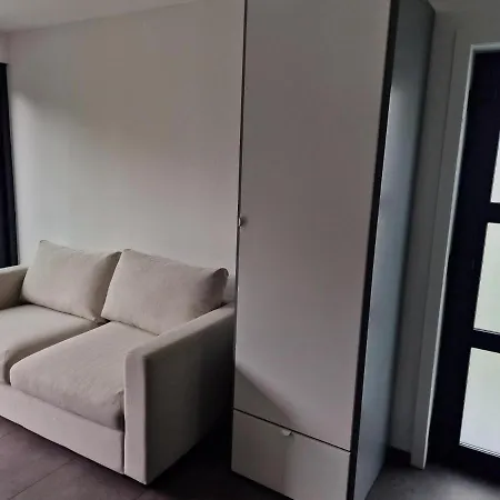 Grote Zeemeeuwen * Koksijde