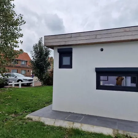 Grote Zeemeeuwen *