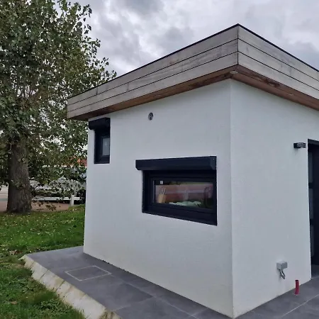 Grote Zeemeeuwen